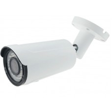 IP камера HTV HTV-IP-T3031V