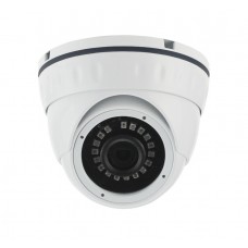 IP камера Ginzzu HID-2031S
