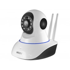 IP камера Ginzzu HWD-2033A